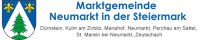 Marktgemeinde Neumarkt in der Steiermark 2019 neu.jpg
