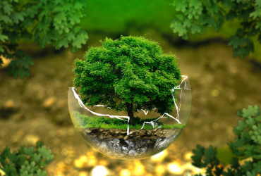 Telefonschleife Unternehmen