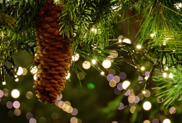 Radio Grün Weiß Weihnachten