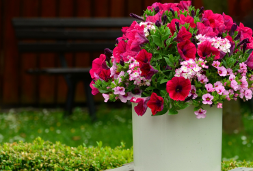 Gartenwelt Schacherl Neueröffnung