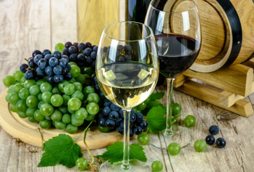 Jahrgangspräsentation steirischer Wein