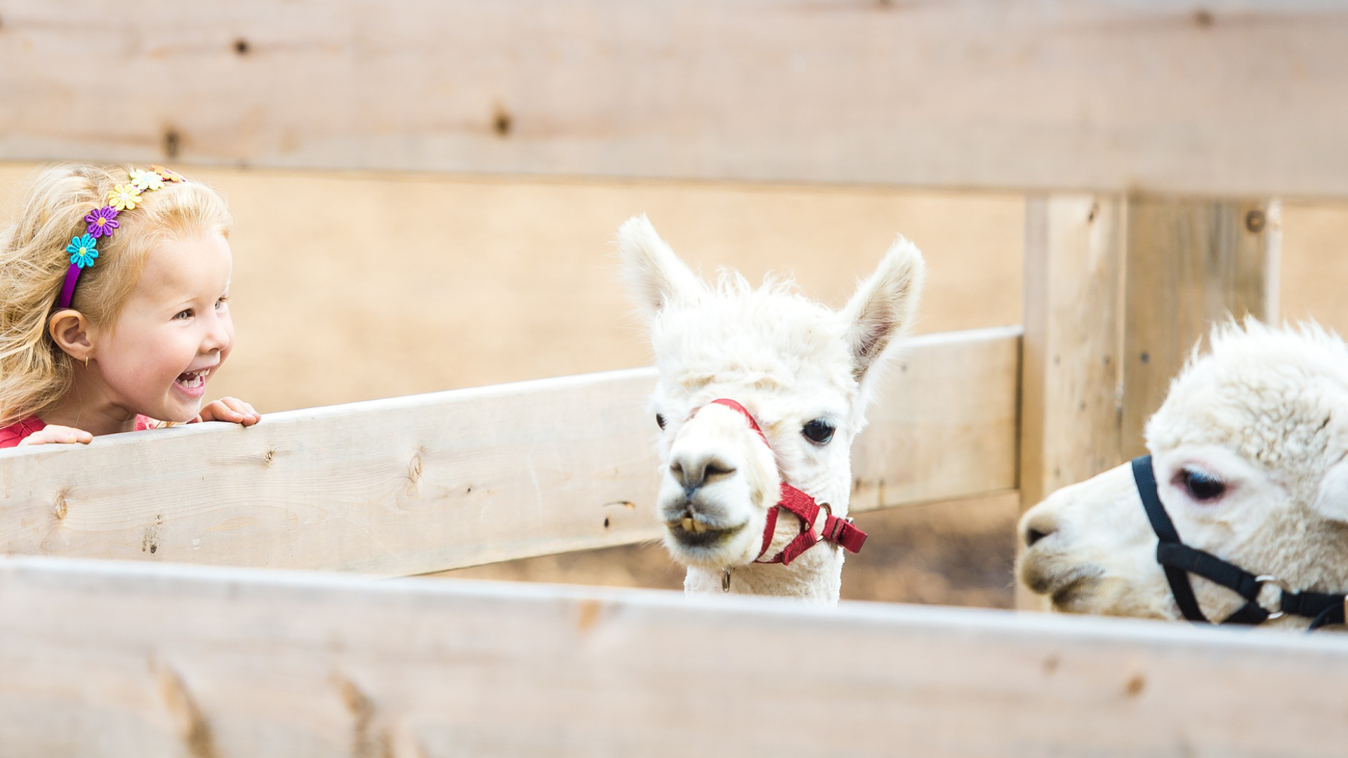 Botanische Gärten, Zoos & Tierparks