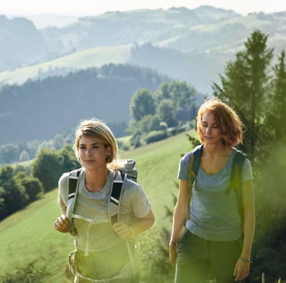 Sebaldusweg Oberösterreich