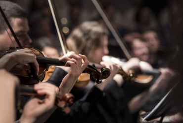 Orchester myfidelio.at