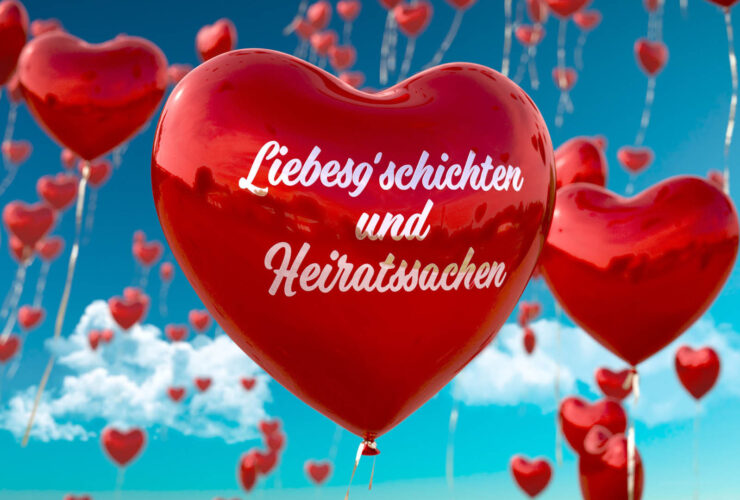 In jeder Folge werden in gekonnter Manier Menschen in ihrer Umgebung vorgestellt. Es sind Kurzportraits von Singles, die ihr Leben nicht mehr allein verbringen wollen.